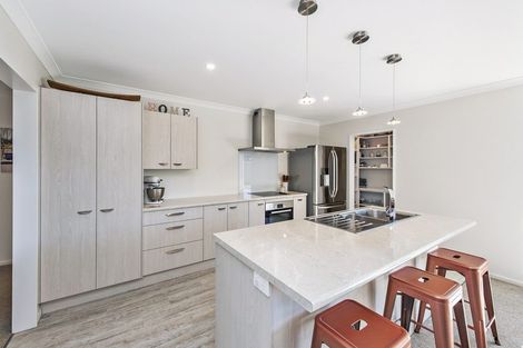 Photo of property in 18 Mclenaghan Road, Rolleston, 7614