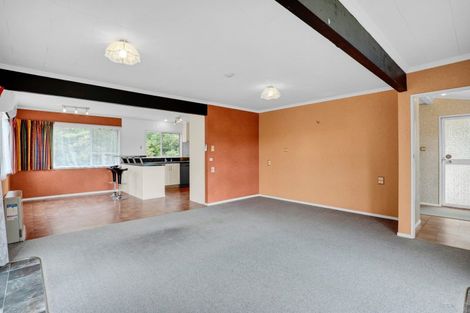 Photo of property in 29 Montjoy Street, Stratford, 4332