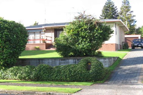 Photo of property in 17 Girvan Place, Tokoroa, 3420