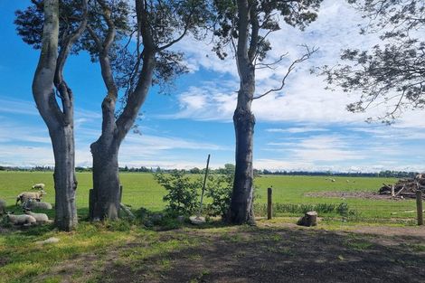 Photo of property in 216 Leeston Road, Springston, Christchurch, 7674