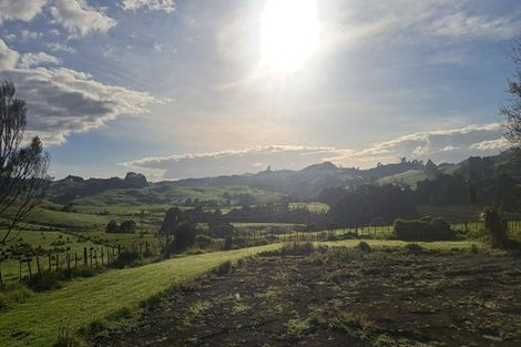 Photo of property in 111 Te Rawhiti Road, Matakohe, 0594