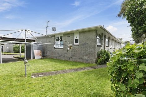 Photo of property in 3/3 Copeland Street, Hutt Central, Lower Hutt, 5011