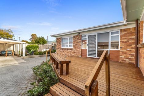 Photo of property in 19 Rossiter Place, Chartwell, Hamilton, 3210