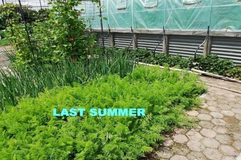 Photo of property in 22 Ferry Street, Wyndham, 9831