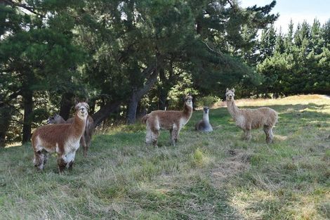 Photo of property in 1392 Oxford Road, Cust, Rangiora, 7471