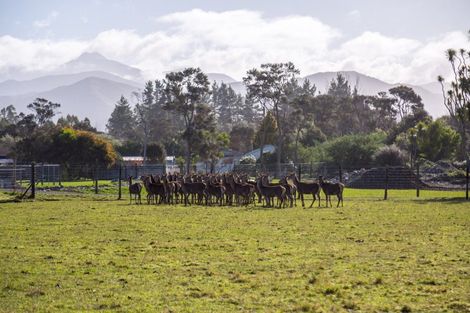 Photo of property in 707 Norfolk Road, Upper Plain, Carterton, 5791