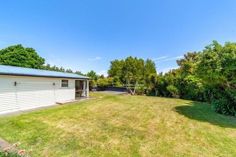 Photo of property in 36 Upham Street, Havelock North, 4130