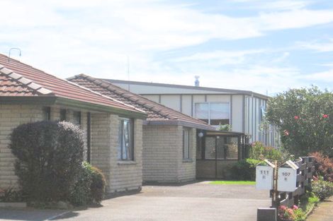 Photo of property in 111b Chapel Street, Otumoetai, Tauranga, 3110
