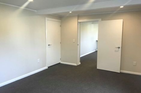 Photo of property in 17a Rakau Road, Hataitai, Wellington, 6021