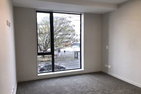 Photo of property in Vsp South, 105/168u Victoria Street, Te Aro, Wellington, 6011