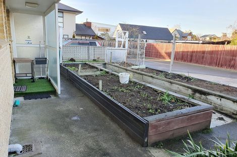 Photo of property in 77 Memorial Avenue, Ilam, Christchurch, 8053