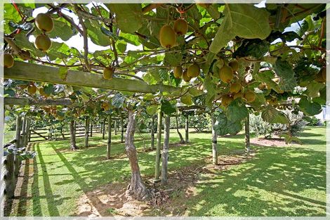 Photo of property in 1071 Queen Street East, Levin, 5510