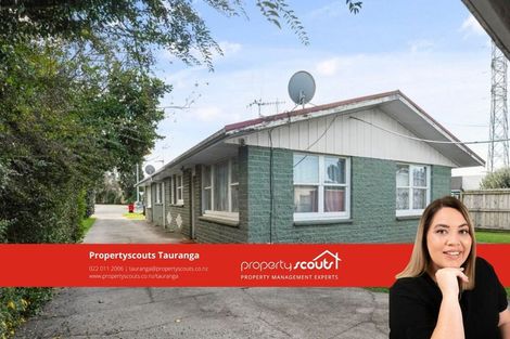 Photo of property in 1382b Cameron Road, Greerton, Tauranga, 3112