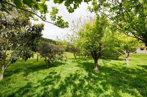 Photo of property in 31 Kahuterawa Road, Linton, Palmerston North, 4472