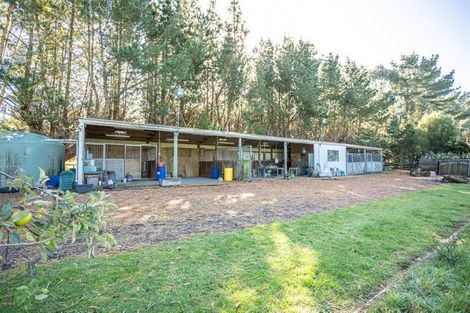 Photo of property in 356 Matamau Ormondville Road, Matamau, Dannevirke, 4977
