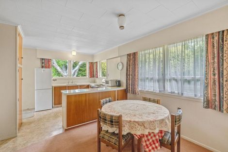 Photo of property in 76 Winchester Street, Levin, 5510