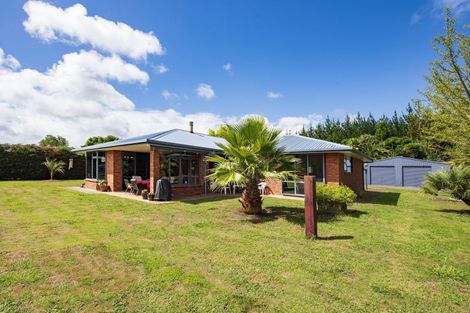 Photo of property in 420 Foxton Shannon Road, Foxton, 4893