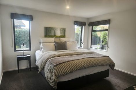 Photo of property in 161 Petrie Street, Richmond, Christchurch, 8013