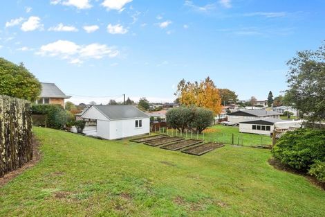 Photo of property in 32 Bank Street, Morrinsville, 3300