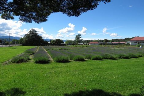 Photo of property in 131-139 Buller Road, Reefton, 7830