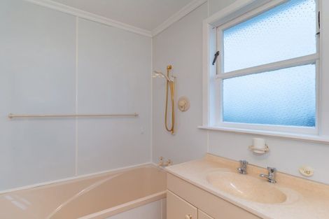 Photo of property in 43 Tiro Tiro Road, Levin, 5510