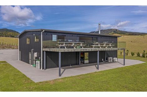 Photo of property in 1579 Colville Road, Amodeo Bay, Coromandel, 3584