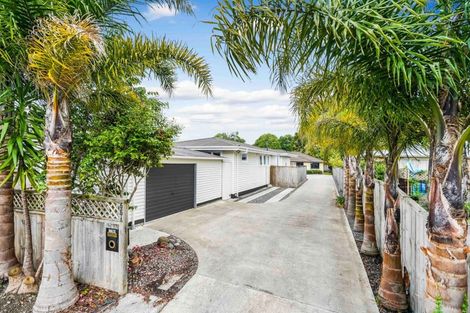 Photo of property in 55 Ascot Road, Chartwell, Hamilton, 3210