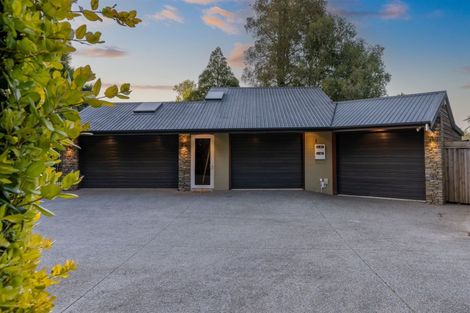 Photo of property in 255 Bankwood Road, Chartwell, Hamilton, 3210