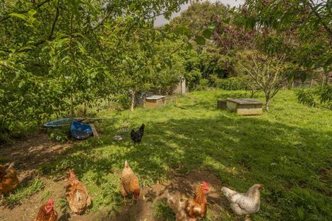 Photo of property in 142a Moewai Road, Whitianga, 3591