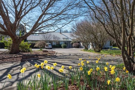 Photo of property in 104 Neeves Road, Kaiapoi, 7691