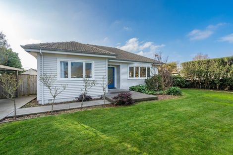 Photo of property in 45 Alfred Street, Fairfield, Hamilton, 3214