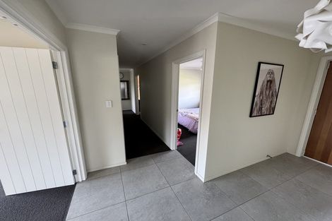 Photo of property in 3 Feijoa Way, Richmond, 7020