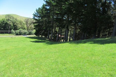 Photo of property in 3928 Porangahau Road, Porangahau, Waipukurau, 4284