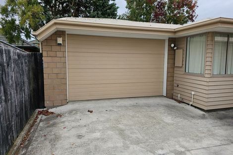 Photo of property in 48b North Avon Road, Richmond, Christchurch, 8013