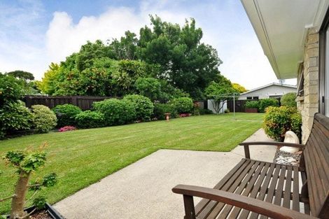 Photo of property in 3 Mcmeekan Avenue, Chartwell, Hamilton, 3210