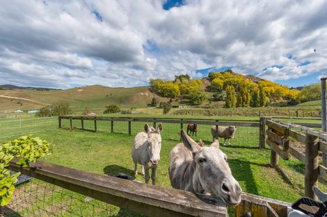 Photo of property in 564 Seafield Road, Puketapu, Napier, 4182