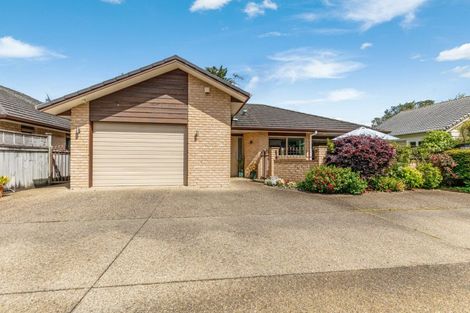 Photo of property in 2b Bledisloe Court, Pukekohe, 2120