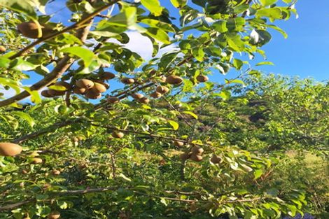 Photo of property in 14 Munson Street, Reefton, 7830