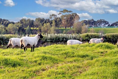 Photo of property in 34b Hauone Road, Pikowai, Whakatane, 3194