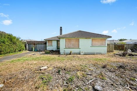 Photo of property in 17 Fend Street, Chartwell, Hamilton, 3210