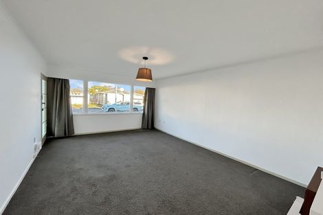 Photo of property in 223 Grey Street, Palmerston North, 4414
