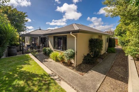 Photo of property in 8 Monro Place, Richmond, 7020