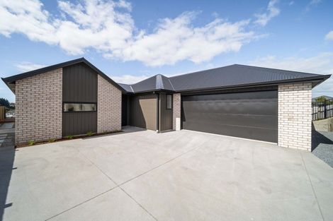 Photo of property in 11 Ireland Way, Bethlehem, 3110