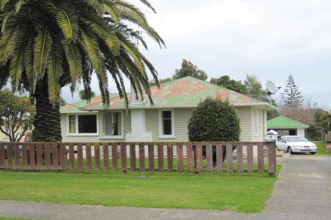Photo of property in 15 Graham Street, Levin, 5510