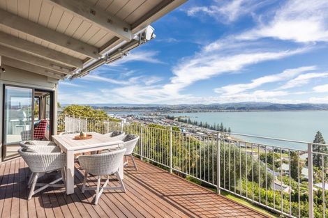 Photo of property in 159 Thompson Road, Bluff Hill, Napier, 4110