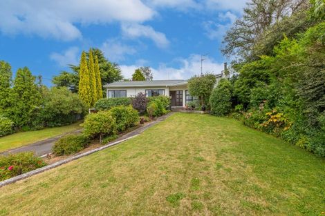 Photo of property in 134 Porangahau Road, Waipukurau, 4200