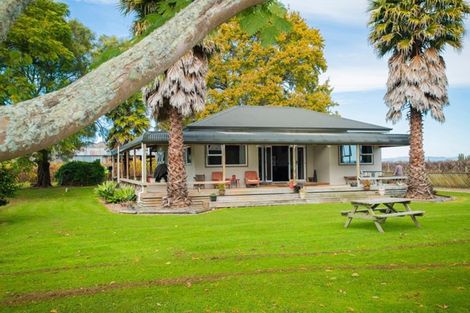 Photo of property in 144 Ngakoroa Road, Ormond, Gisborne, 4071