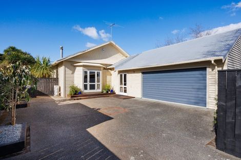 Photo of property in 41 Rangitane Street, Palmerston North, 4414