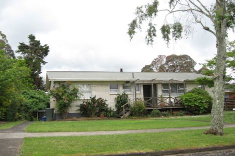 Photo of property in 29 Moloney Terrace, Pukekohe, 2120