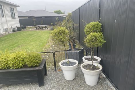 Photo of property in 35 Rayner Street, Temuka, 7920